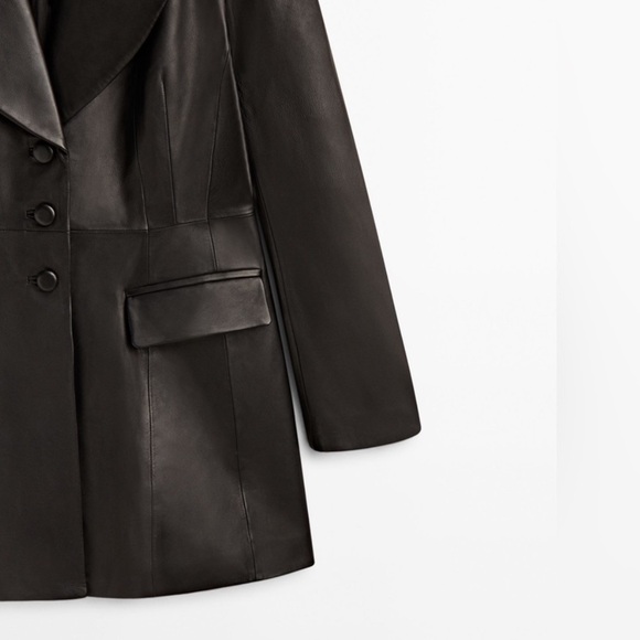 Massimo Dutti Leather Blazer - Picture 4 of 14